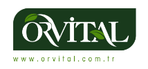 Orvital